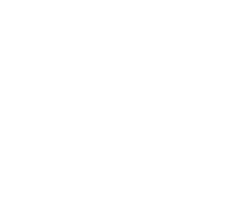 The VILNS raccoon, wearing a hood.
